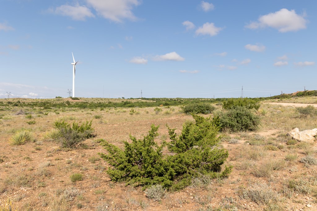 2564 Ennis Creek Rd, Snyder, Texas image 8