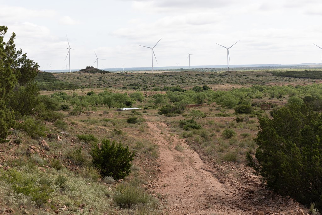 2564 Ennis Creek Rd, Snyder, Texas image 27