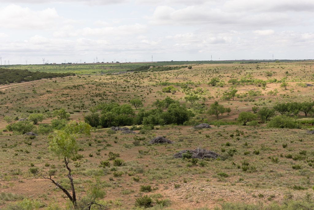 2564 Ennis Creek Rd, Snyder, Texas image 34