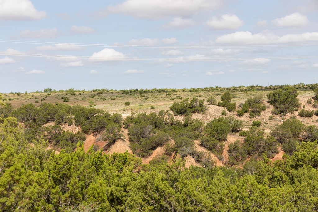 2564 Ennis Creek Rd, Snyder, Texas image 20