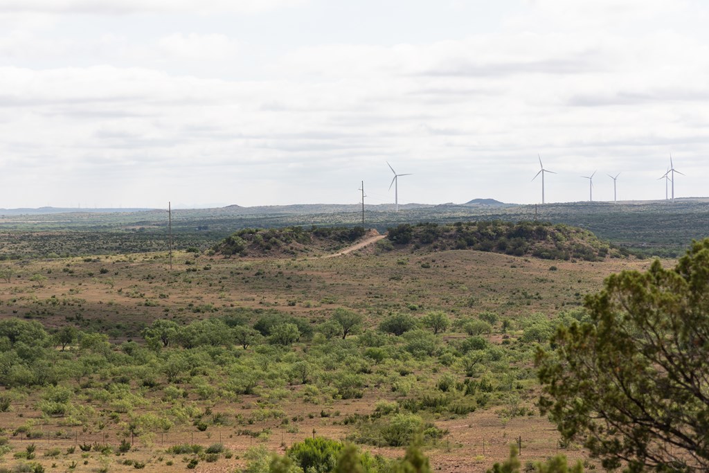 2564 Ennis Creek Rd, Snyder, Texas image 23
