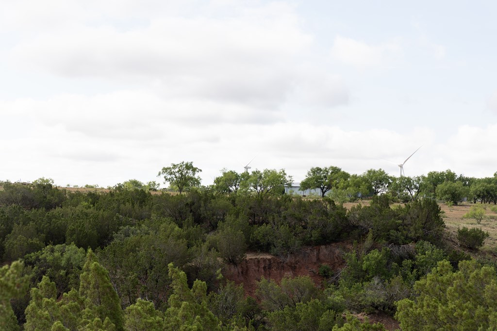 2564 Ennis Creek Rd, Snyder, Texas image 26