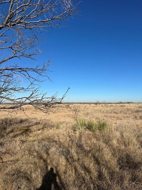 Vacant Land For Sale - 000 Round Top Road<br/> Scurry County, Snyder, TX 79549