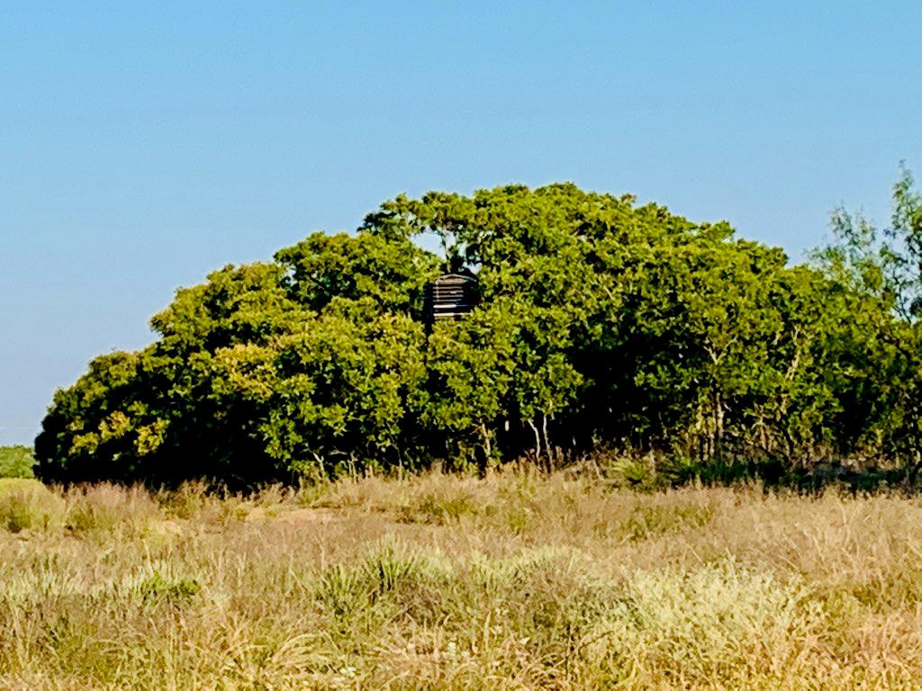 000 County Rd 343, Colorado City, Texas image 13