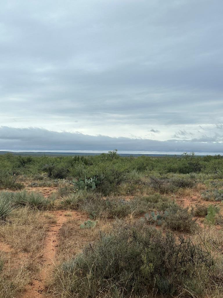 000 County Rd 343, Colorado City, Texas image 2