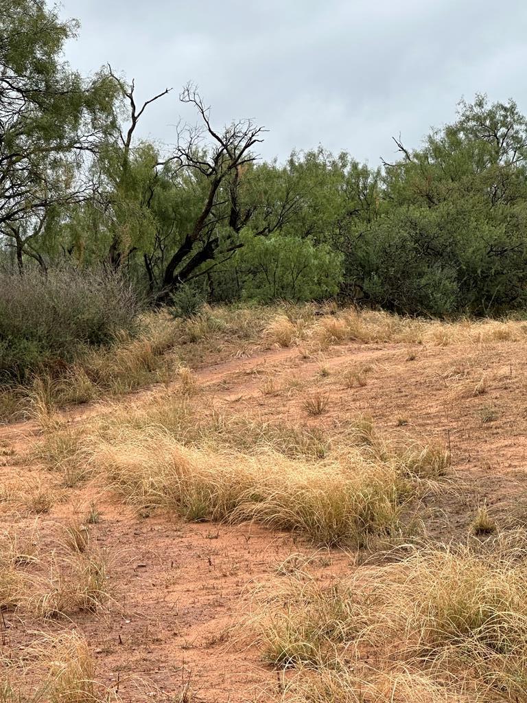 000 County Rd 343, Colorado City, Texas image 9