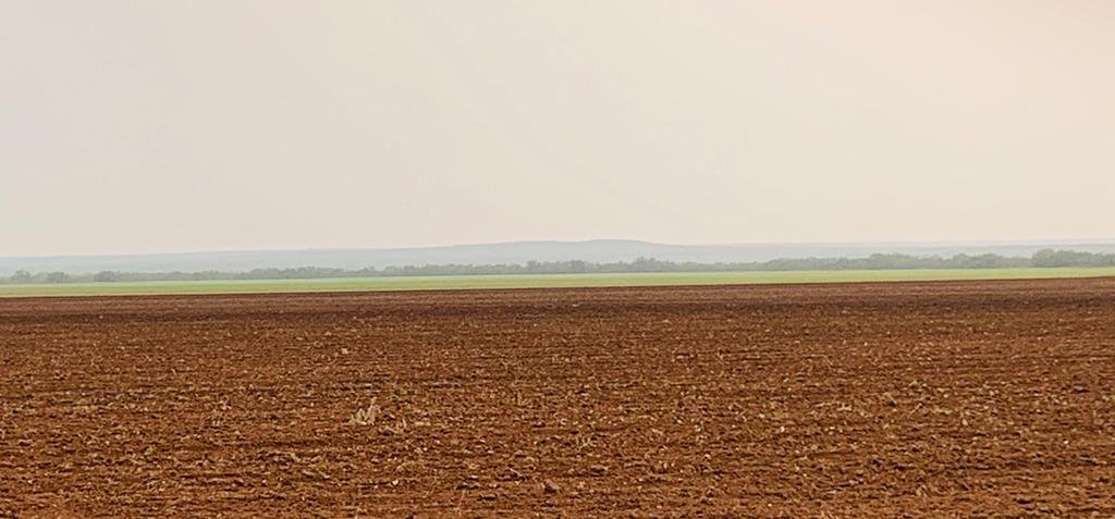 000 County Rd 343, Colorado City, Texas image 11