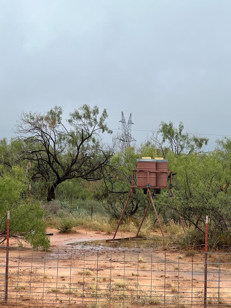 000 County Rd 343, Colorado City, Texas image 4