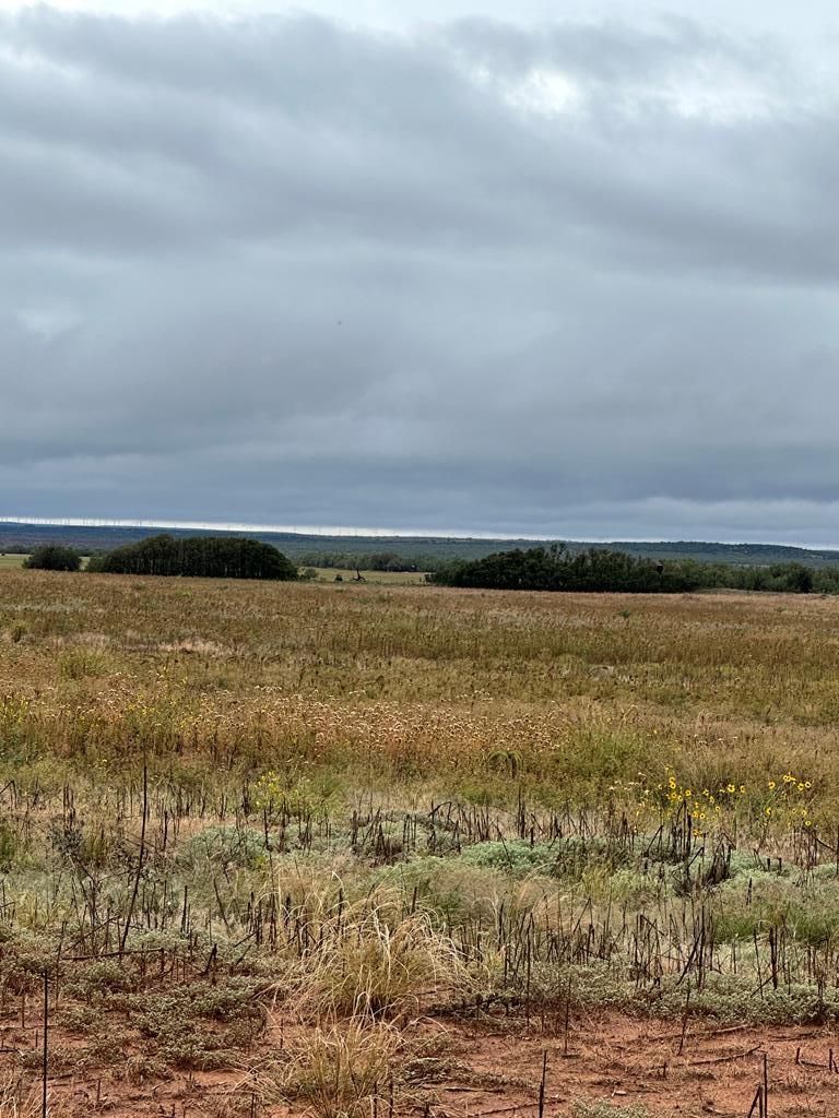 000 County Rd 343, Colorado City, Texas image 8