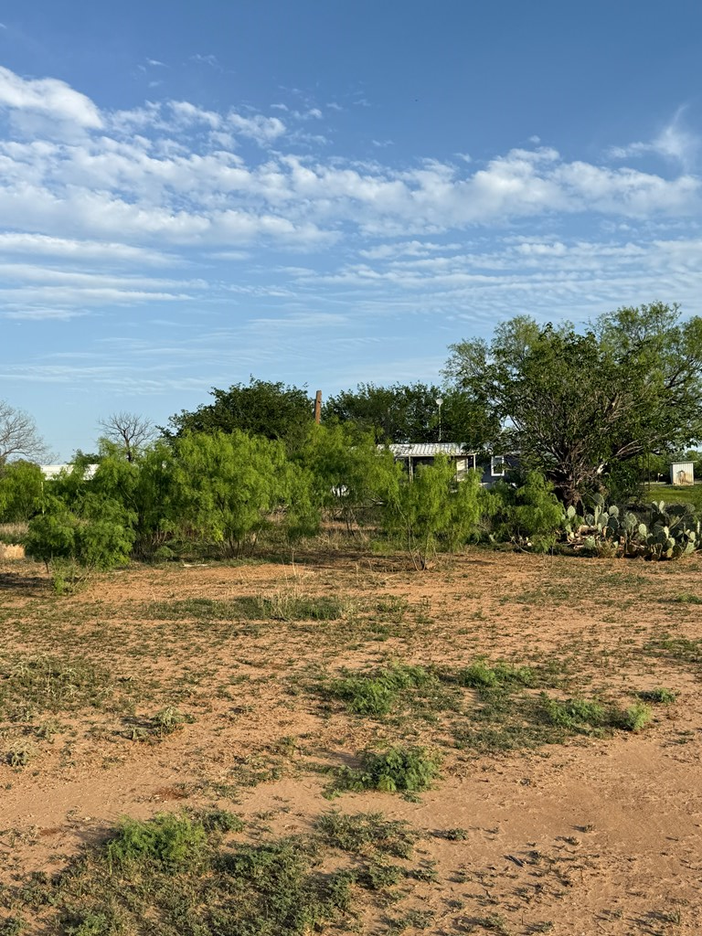 1151 Lcr 175, Colorado City, Texas image 22