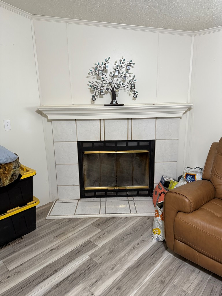 1151 Lcr 175, Colorado City, Texas image 4