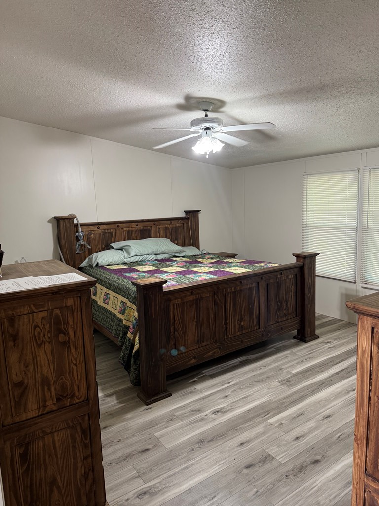1151 Lcr 175, Colorado City, Texas image 5