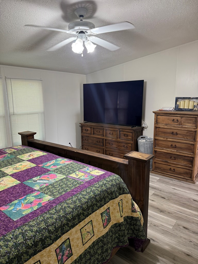 1151 Lcr 175, Colorado City, Texas image 6