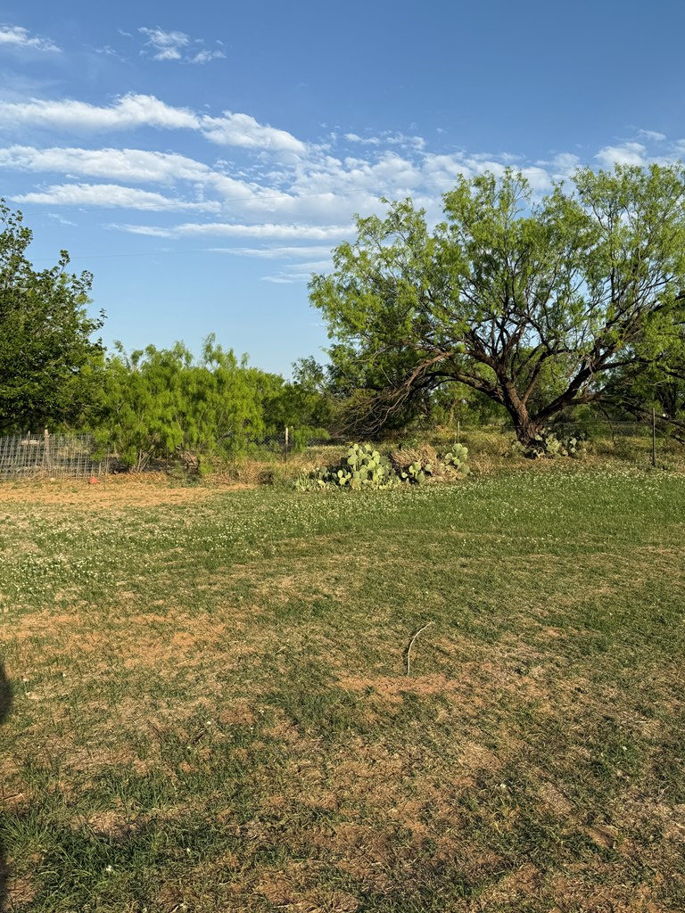 1151 Lcr 175, Colorado City, Texas image 24