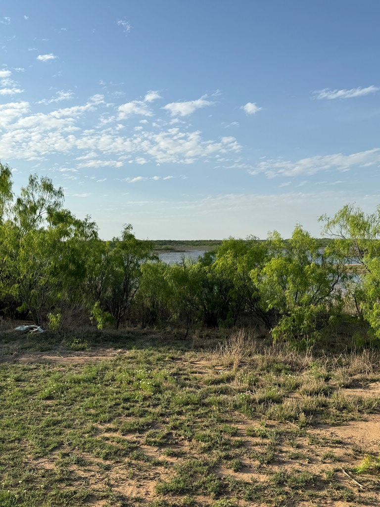 1151 Lcr 175, Colorado City, Texas image 23