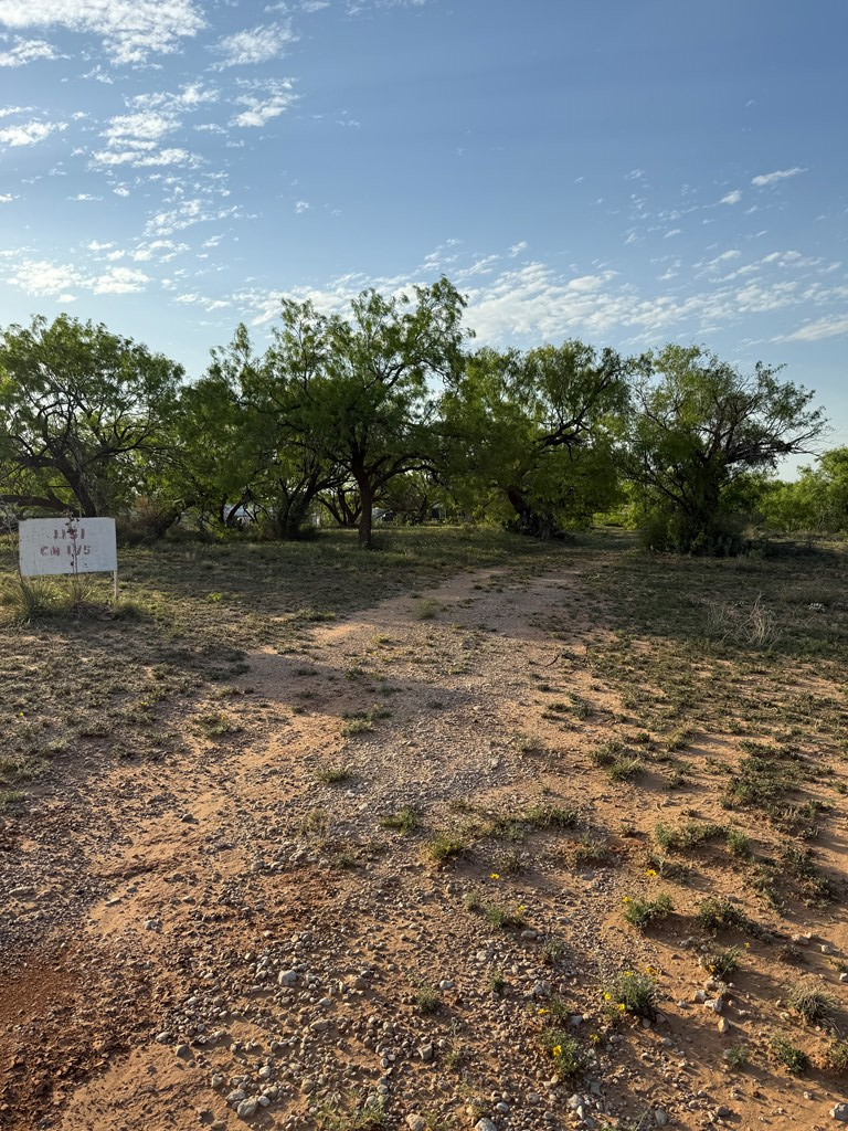 1151 Lcr 175, Colorado City, Texas image 25