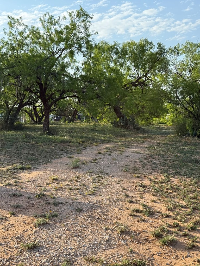 1151 Lcr 175, Colorado City, Texas image 26