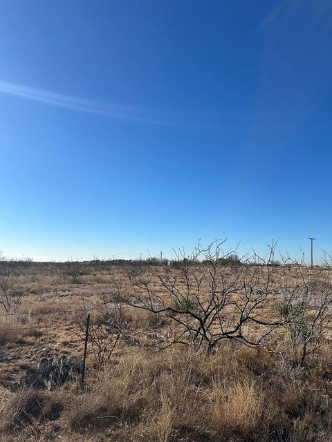 Vacant Land For Sale - 000 Ponderosa Dr<br/> Scurry County, Snyder, TX 79549
