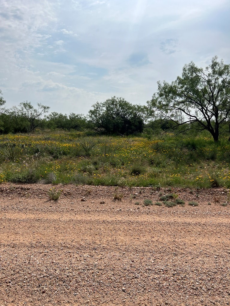 137 Fagan Rd, Justiceburg, Texas image 2