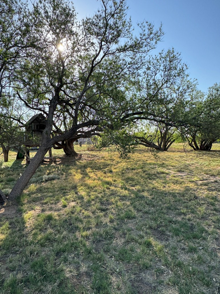 7702 S South Service Rd I-20, Big Spring, Texas image 17