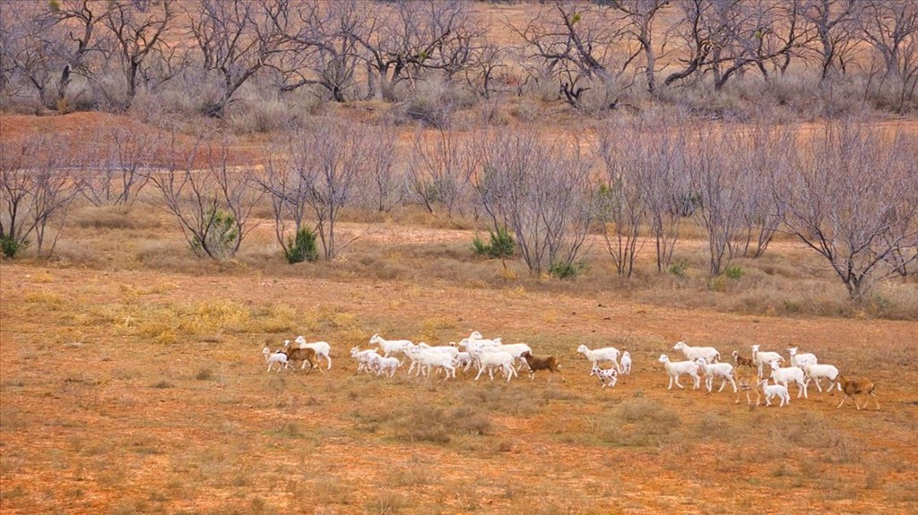 2100 Hurley Rd, Robert Lee, Texas image 34