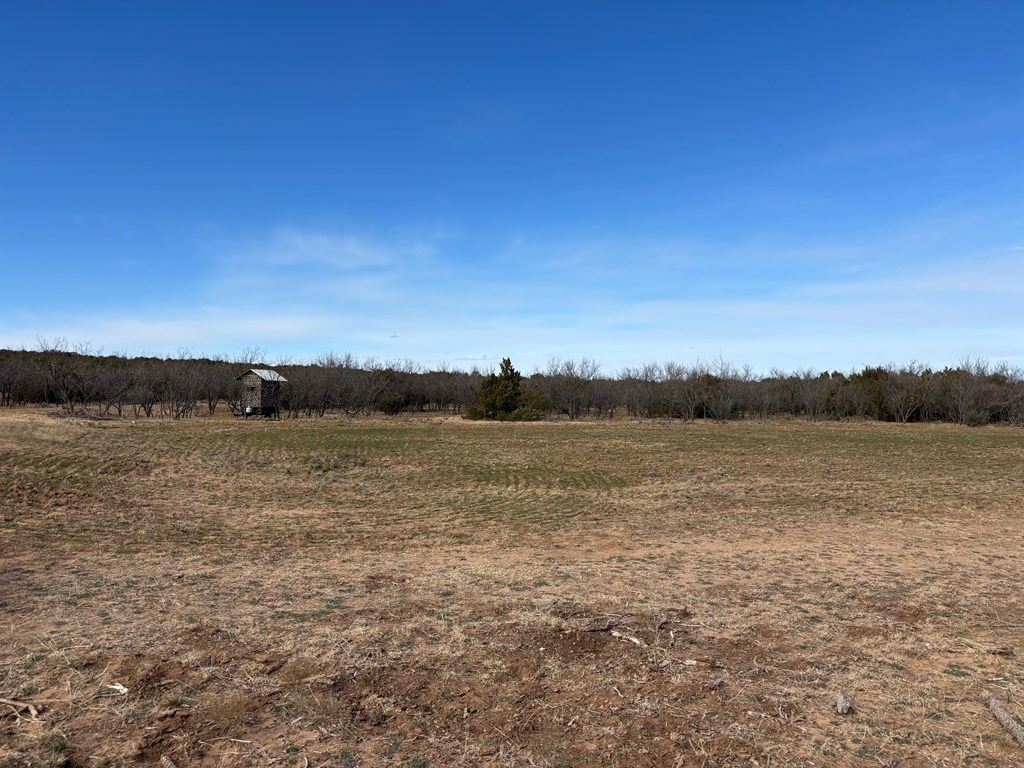 1364 County Rd 1105, Snyder, Texas image 8