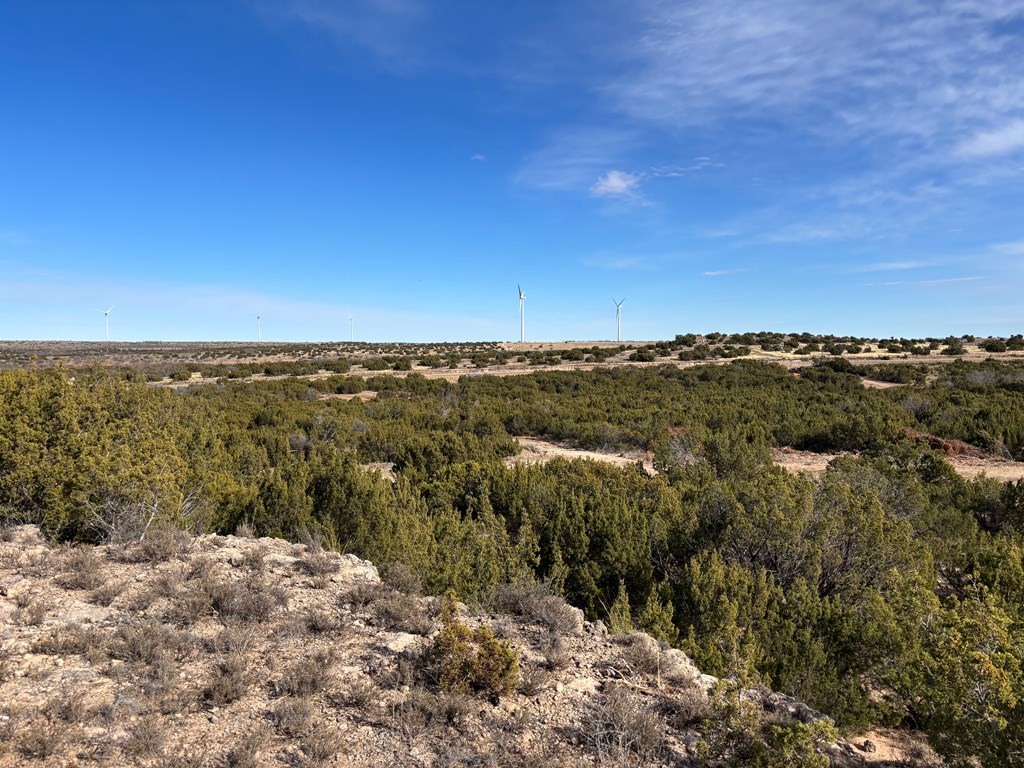 1364 County Rd 1105, Snyder, Texas image 9