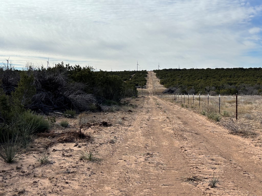 1364 County Rd 1105, Snyder, Texas image 7