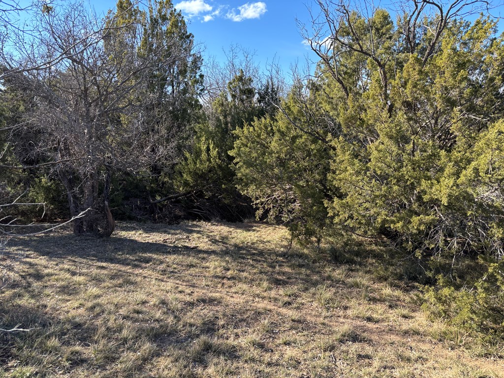 1364 County Rd 1105, Snyder, Texas image 18