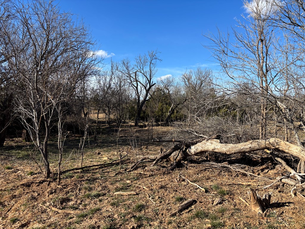 1364 County Rd 1105, Snyder, Texas image 28