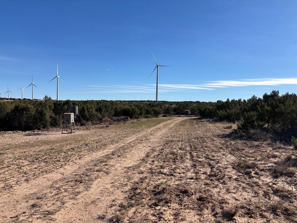 1364 County Rd 1105, Snyder, Texas image 14