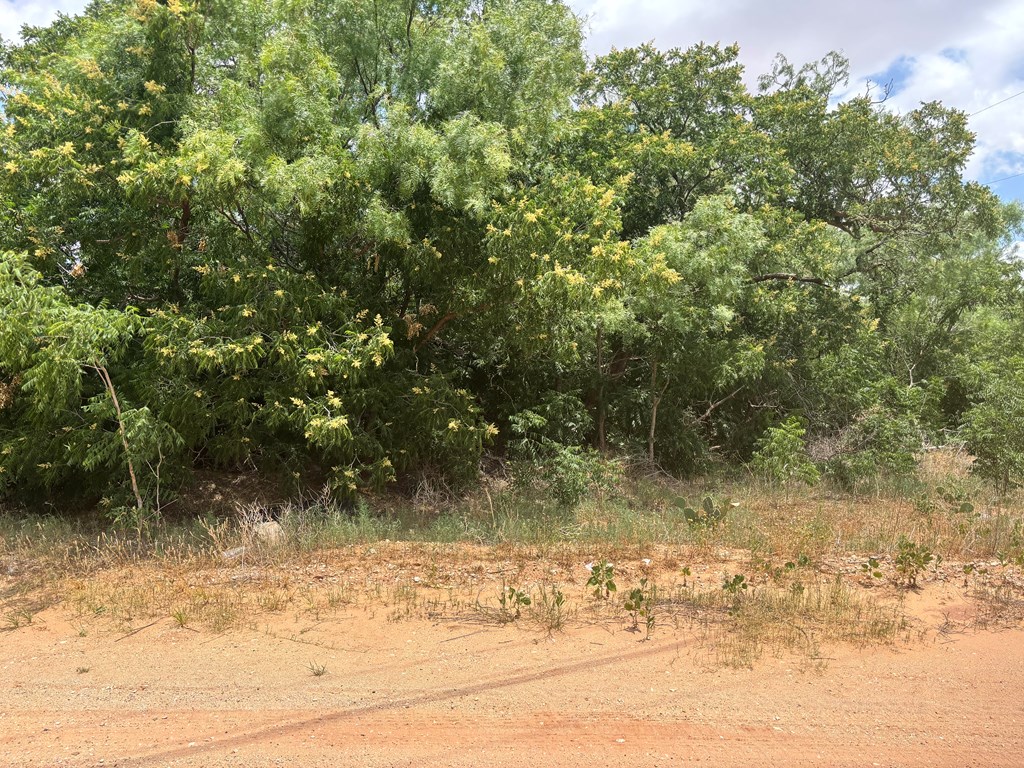 00 Watson, Colorado City, Texas image 3