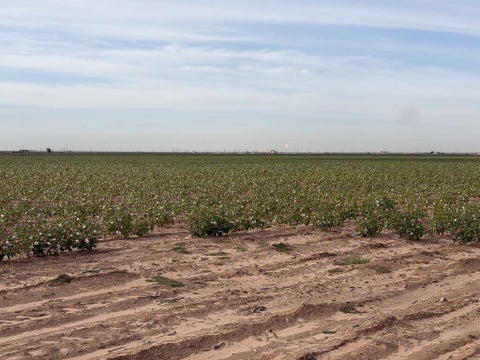 Vacant Land For Sale - 3500 County Rd C 3500<br/> Stanton, TX 79782