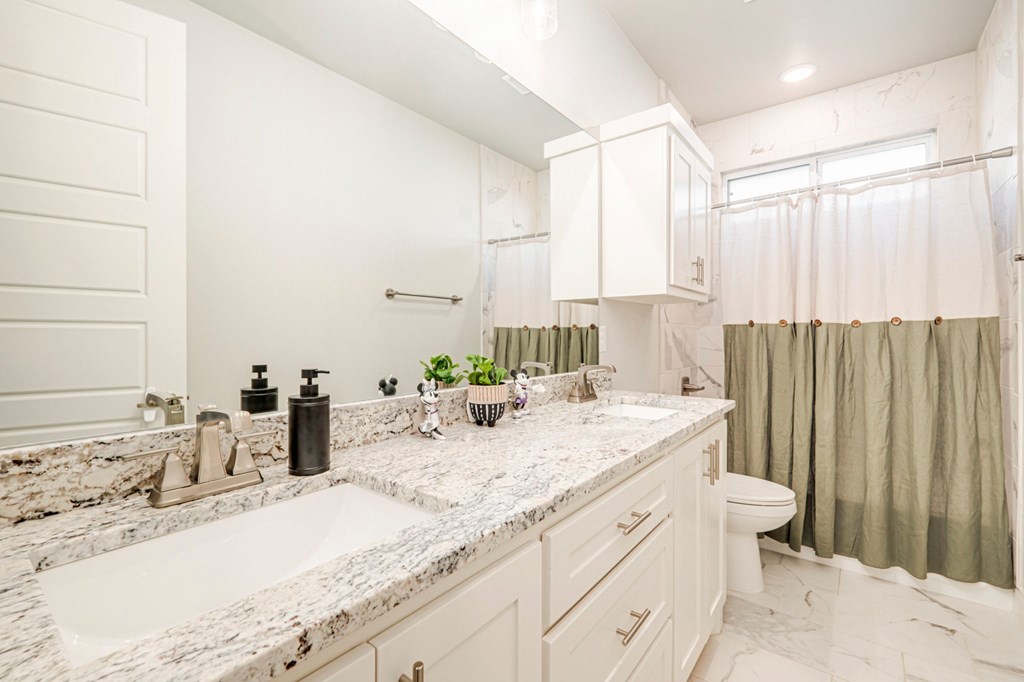 304 Peregrine Hill Circle, Midland, Texas image 33