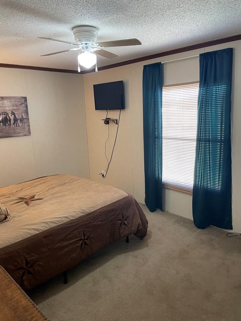458 Duck Puddle Rd, Colorado City, Texas image 21