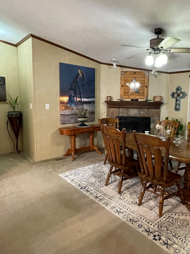 458 Duck Puddle Rd, Colorado City, Texas image 5