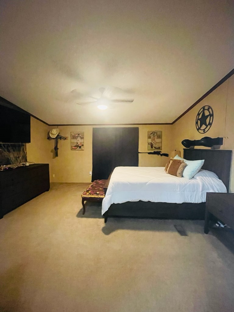 458 Duck Puddle Rd, Colorado City, Texas image 12