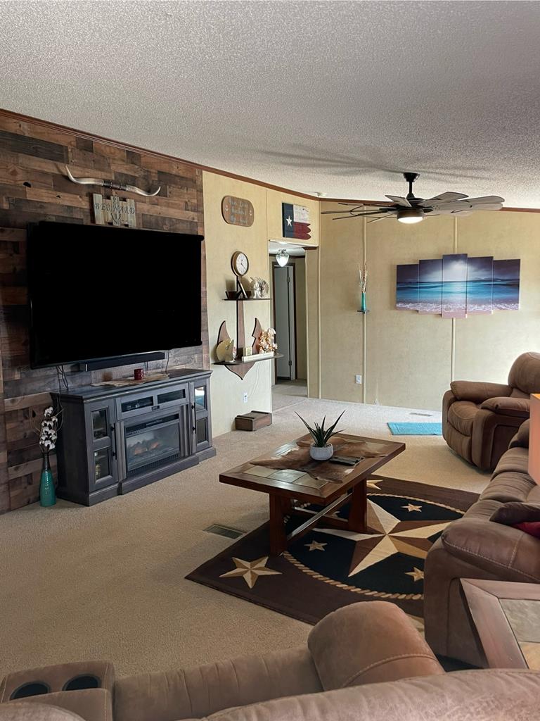 458 Duck Puddle Rd, Colorado City, Texas image 3