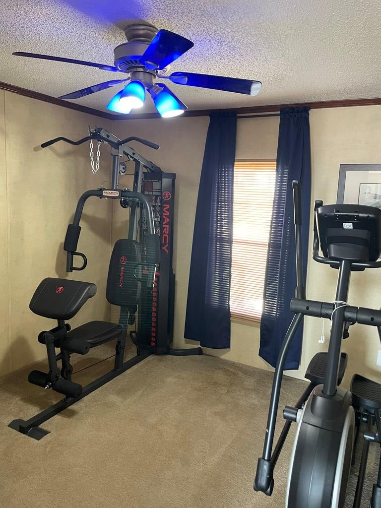 458 Duck Puddle Rd, Colorado City, Texas image 17