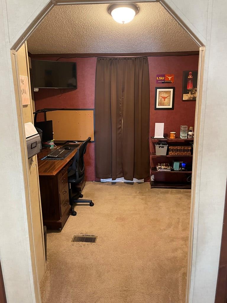 458 Duck Puddle Rd, Colorado City, Texas image 19