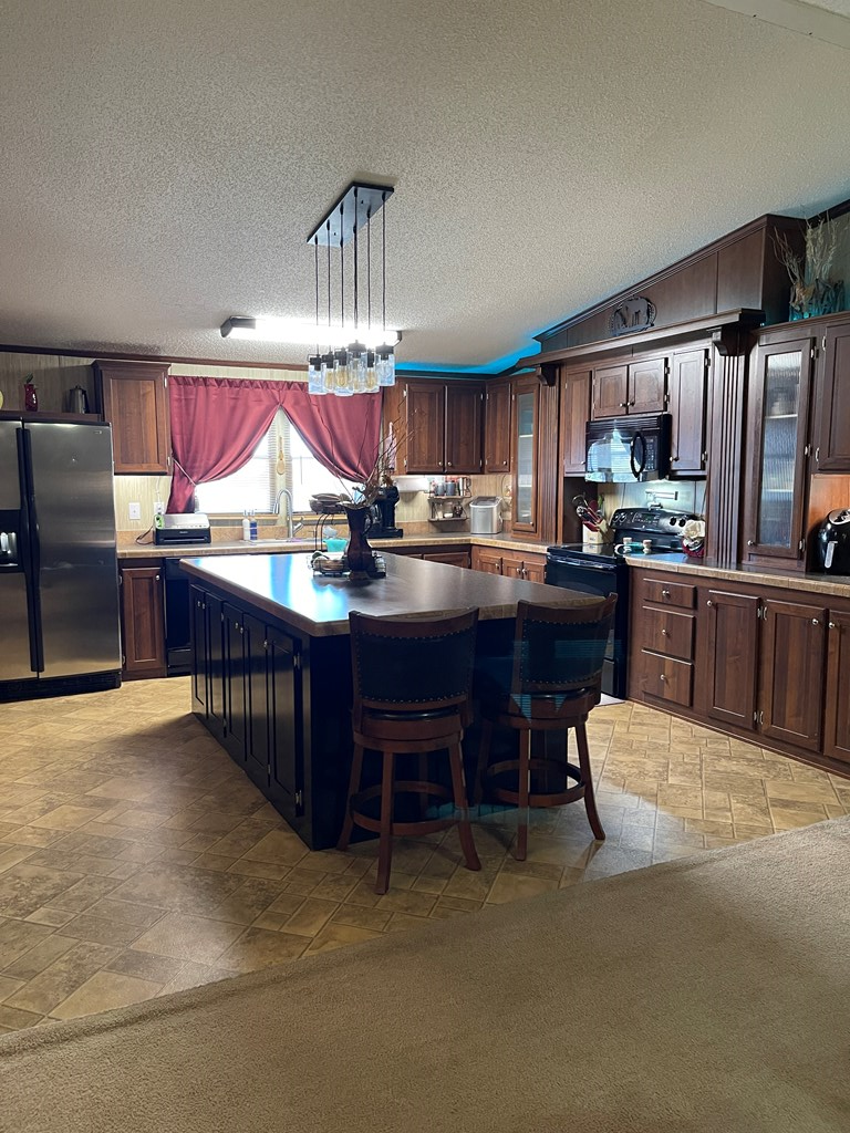 458 Duck Puddle Rd, Colorado City, Texas image 9