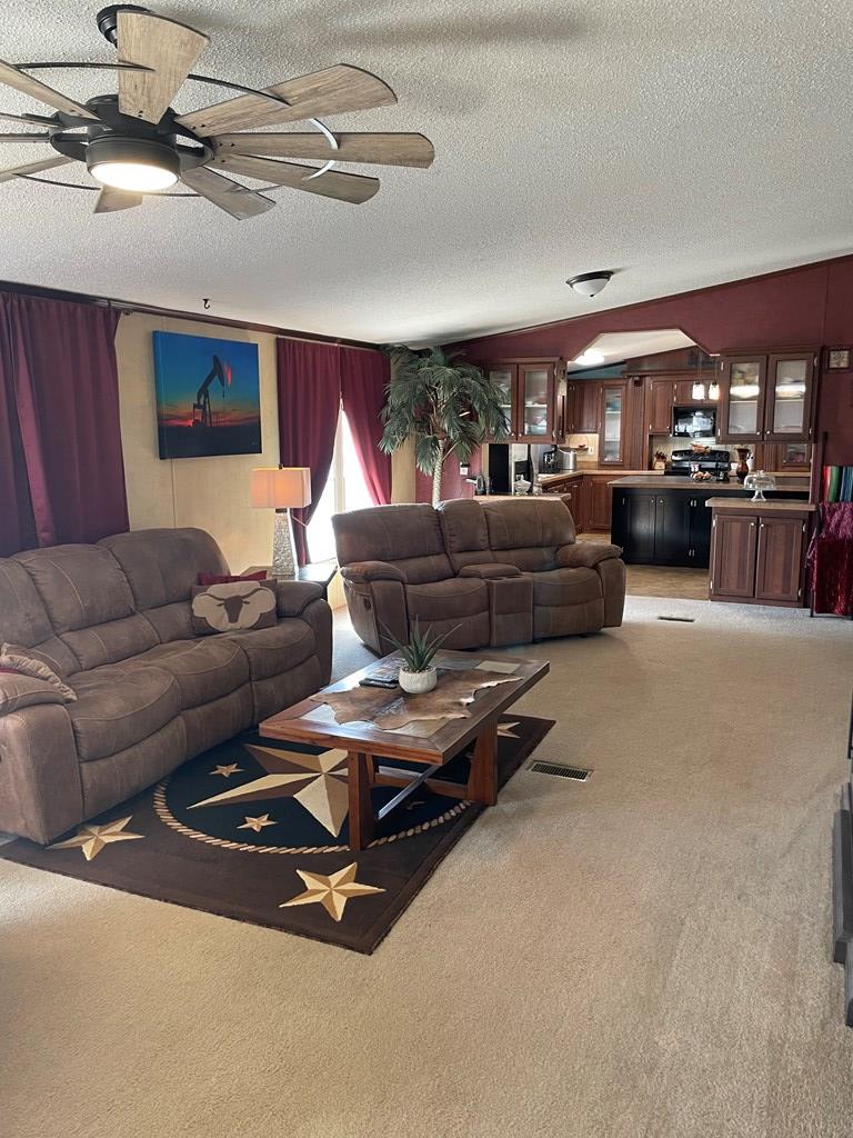 458 Duck Puddle Rd, Colorado City, Texas image 2