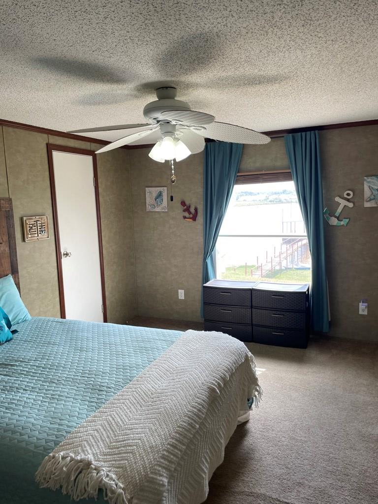 458 Duck Puddle Rd, Colorado City, Texas image 20
