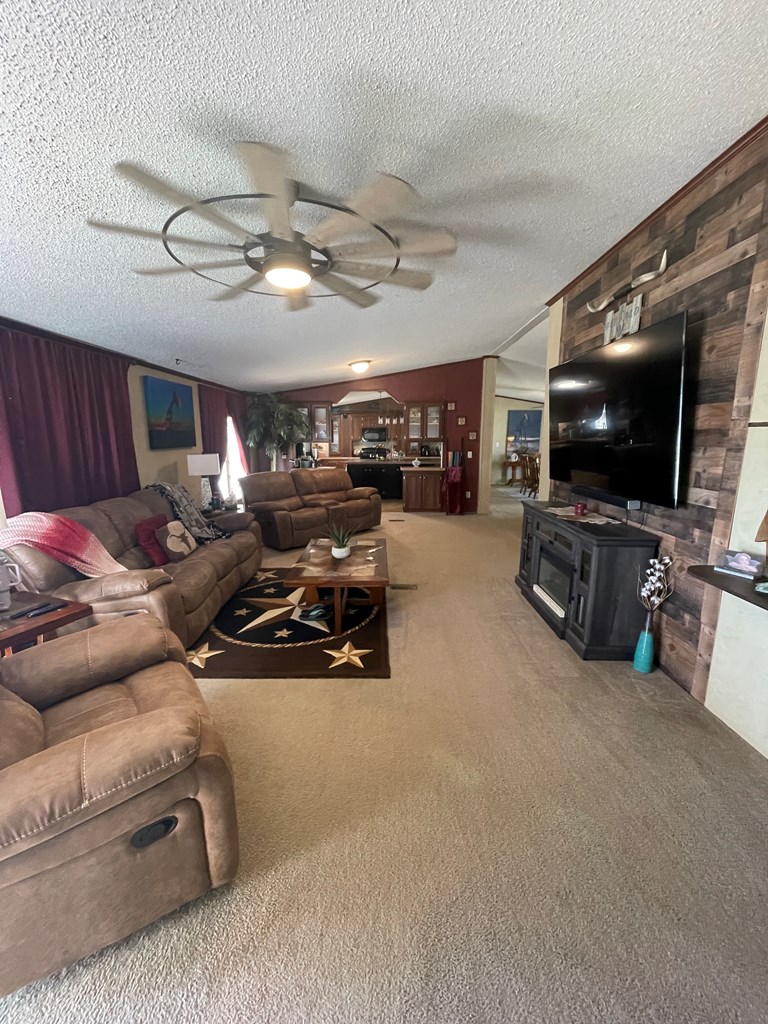 458 Duck Puddle Rd, Colorado City, Texas image 10