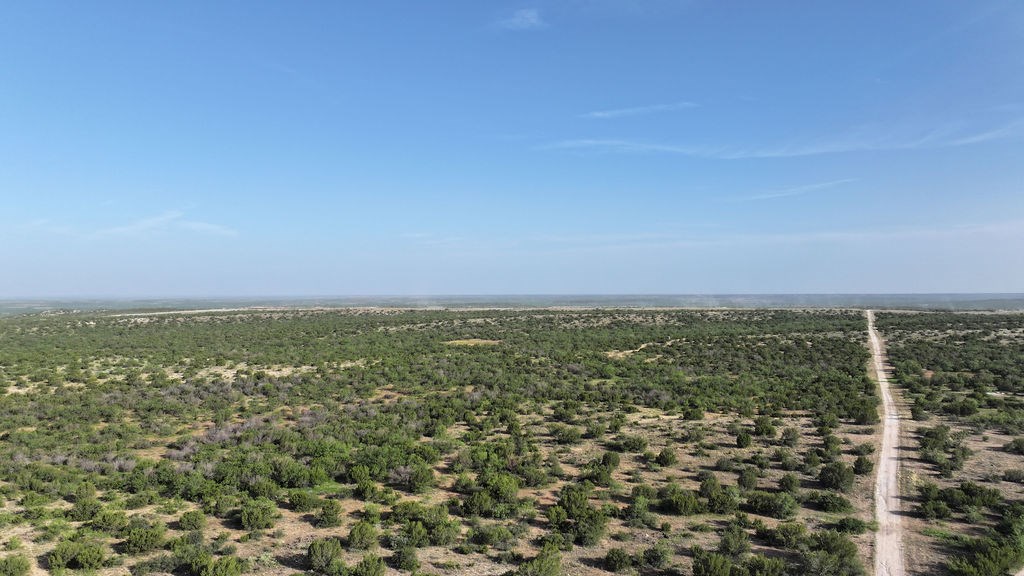 10551 County Rd 345, Colorado City, Texas image 28