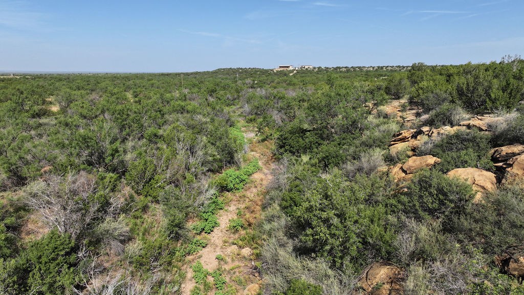 10551 County Rd 345, Colorado City, Texas image 36
