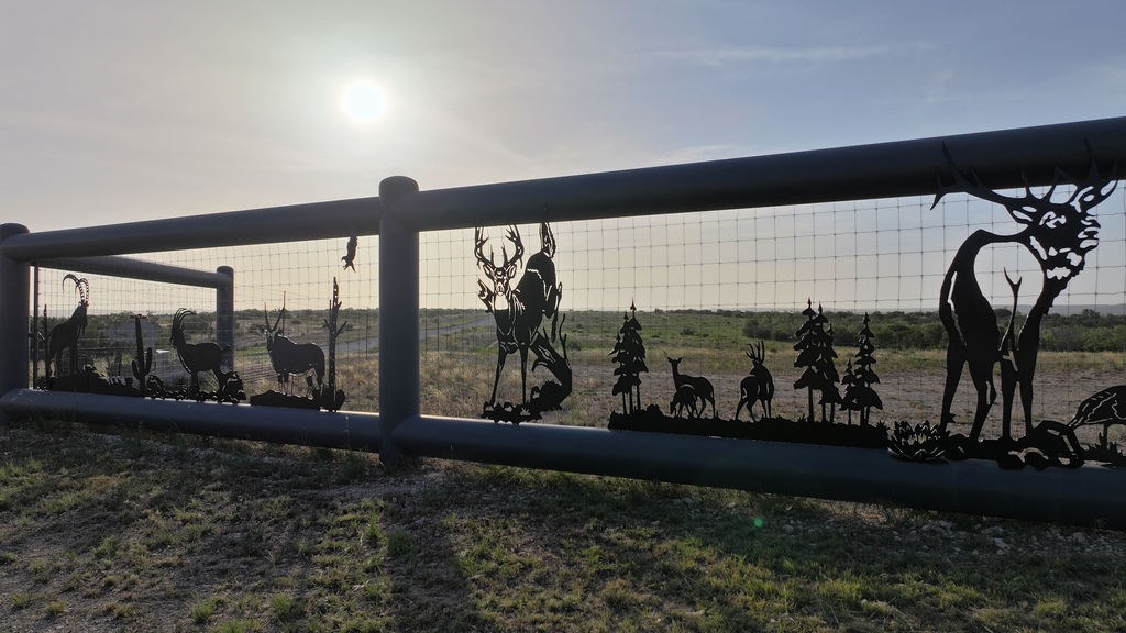 10551 County Rd 345, Colorado City, Texas image 6