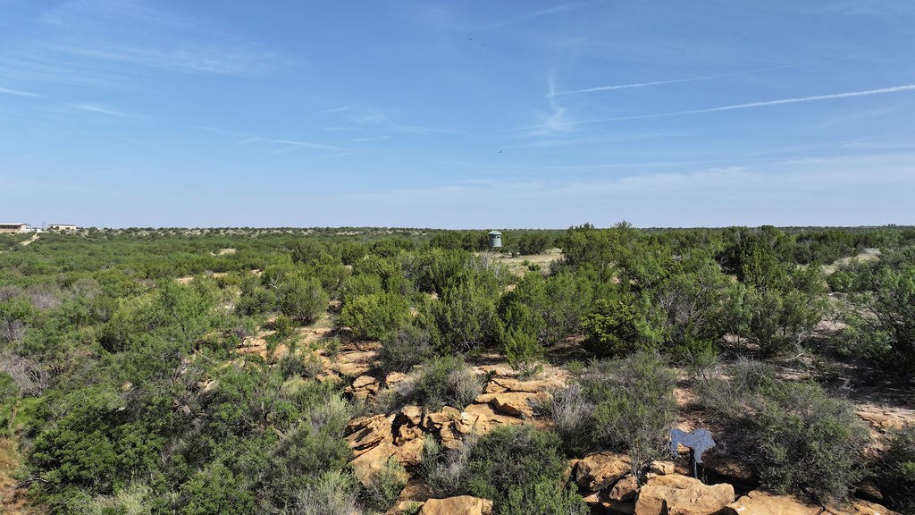 10551 County Rd 345, Colorado City, Texas image 7