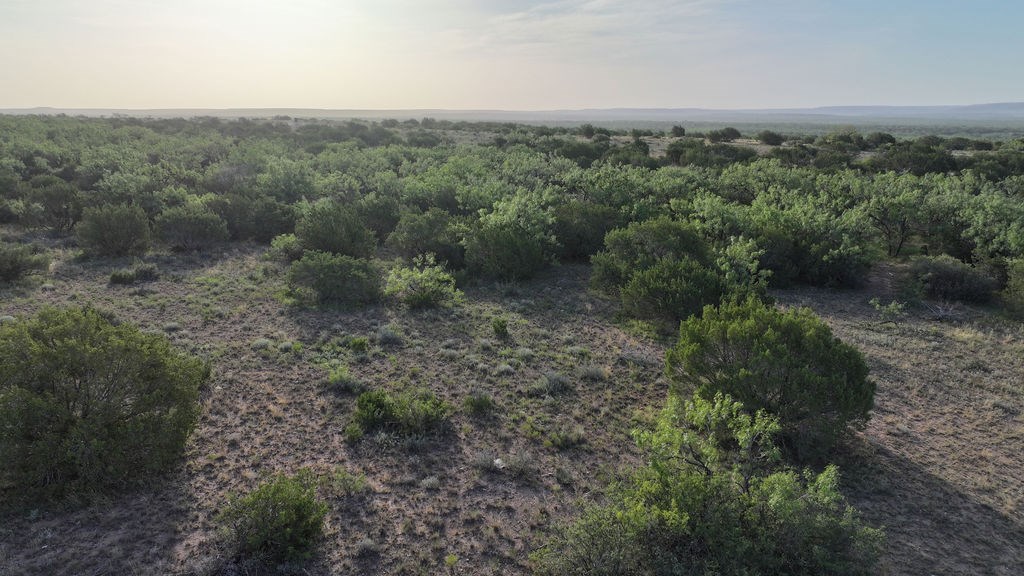 10551 County Rd 345, Colorado City, Texas image 24