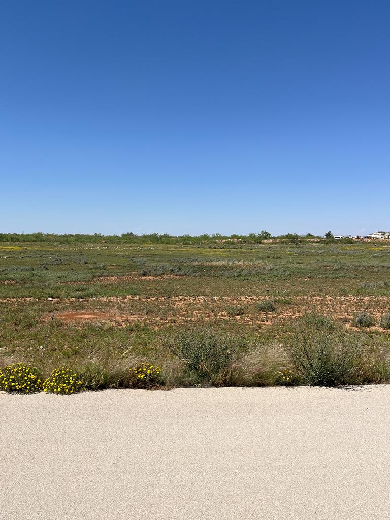 2277 Longhorn Dr, Midland, Texas image 1